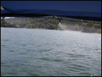 bimini system on lake mead