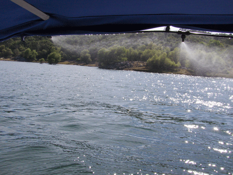 bimini top on lake mead